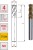 sfm_zgr_2.jpg