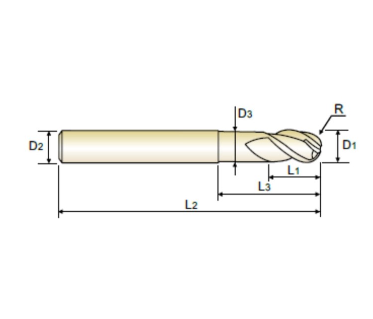 E5908020_1.jpg