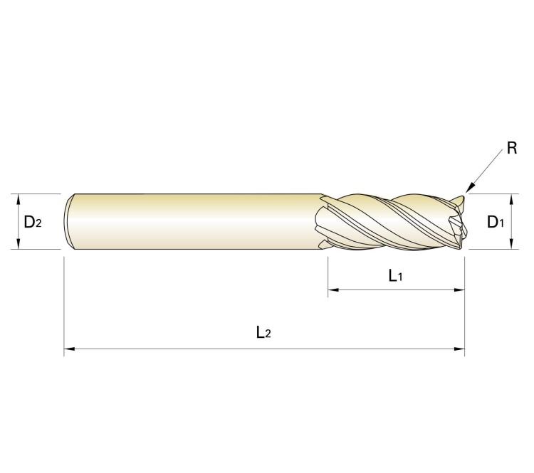 GMF59030_1.jpg