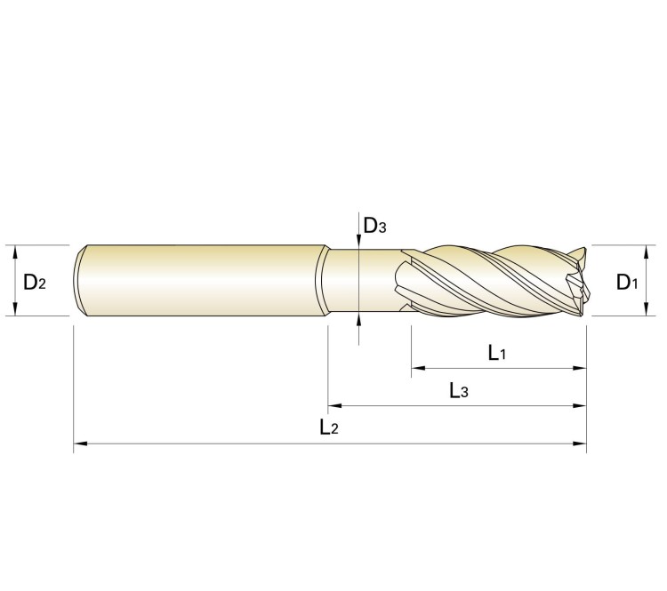 GMF61100_1.jpg